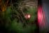 Smart LED svietidlo Castor Zigbee - Foto10