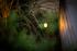 Smart LED svietidlo Castor Zigbee - Foto11
